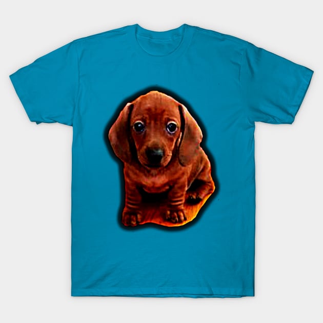 Mini Dachshund Puppy T-Shirt by harleymk